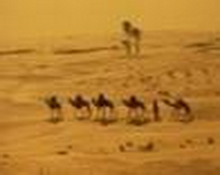 أساليب المشركين في مواجهة الدعوة دروس وعبر