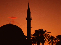 معجزة النبوة في شفاء المرضى